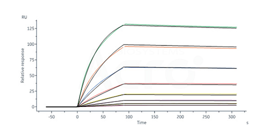 Protein Validation Data 3