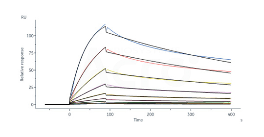 Protein Validation Data 4