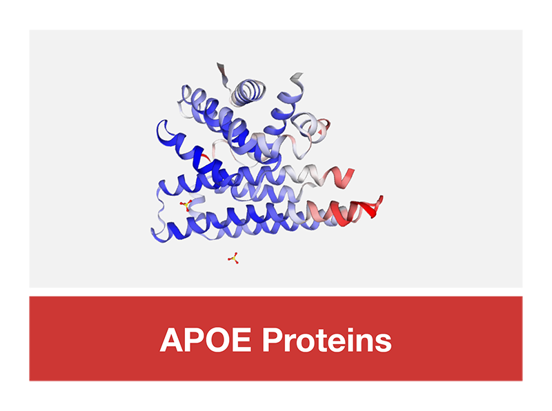 CAPOE Proteins