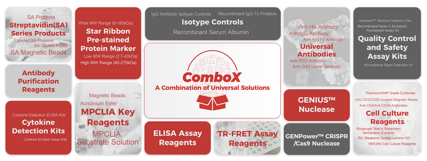 ComboX, A Combination of Universal Solutions