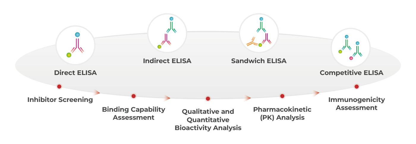Bioanalytical Method Development Service (ELISA Platform)