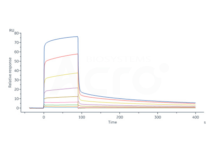 GLP-1R Protein for Affinity Screening and Validation（SPR）