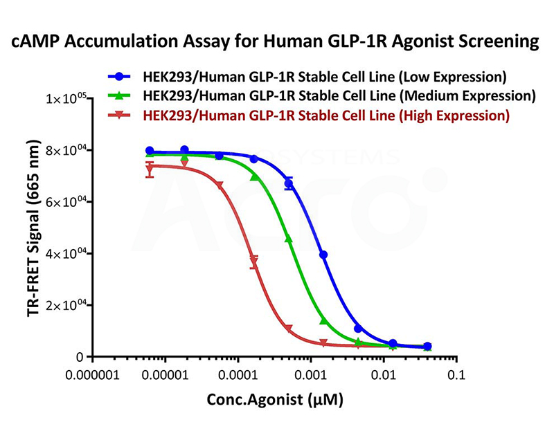 GLP-1R Overexpressing Cell Lines for Drug Bioactivity Detection (Cell-based Assay）