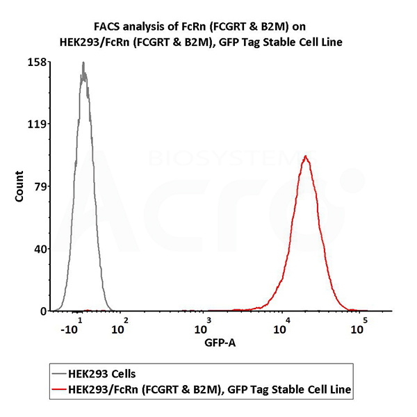 Validated activity of FcRn stable cell line by FACS
