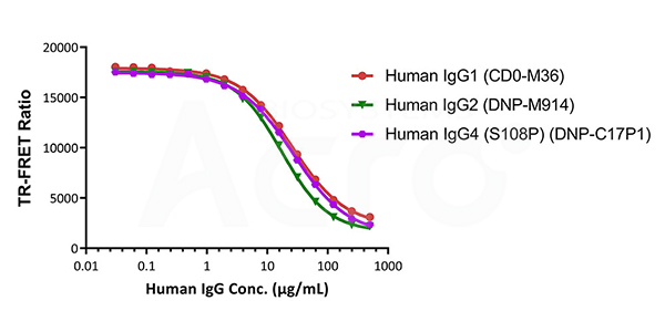 Measures the binding affinity between different IgG Fc subtypes and full-length IgG to FcRn