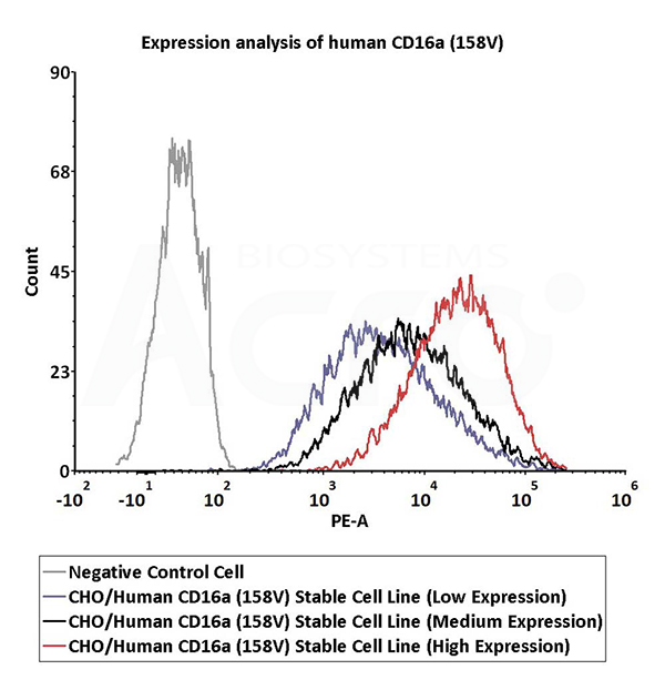 Validated activity of CD16a (158V) stable cell line by FACS