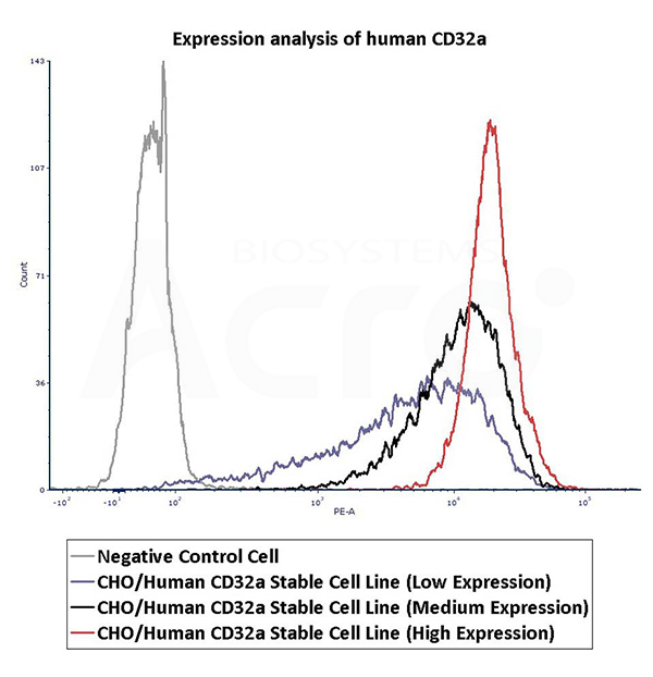 Validated activity of CD32a stable cell line by FACS