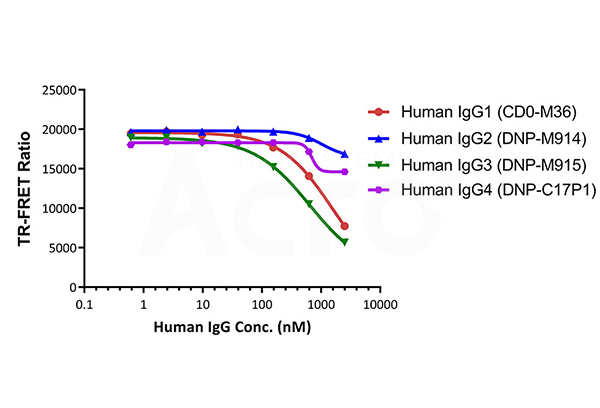 Measuring the binding affinity between different subtypes of IgG with CD16a