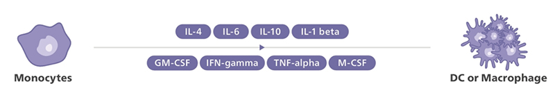 Cytokines & Growth Factors