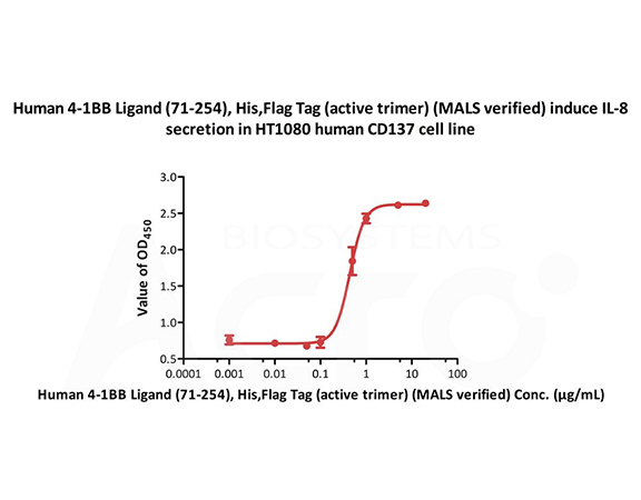 Cell-Based Functional Validation
