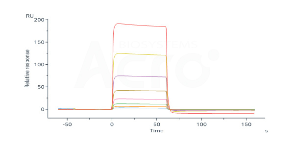 LILRB1 and HLA-G&B2M&Peptide Binding Activity Verified by SPR