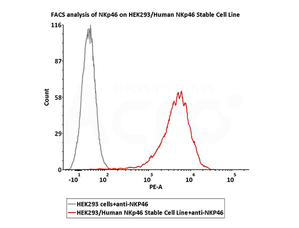 HEK293/Human NKp46 Stable Cell Line Verified by FACS