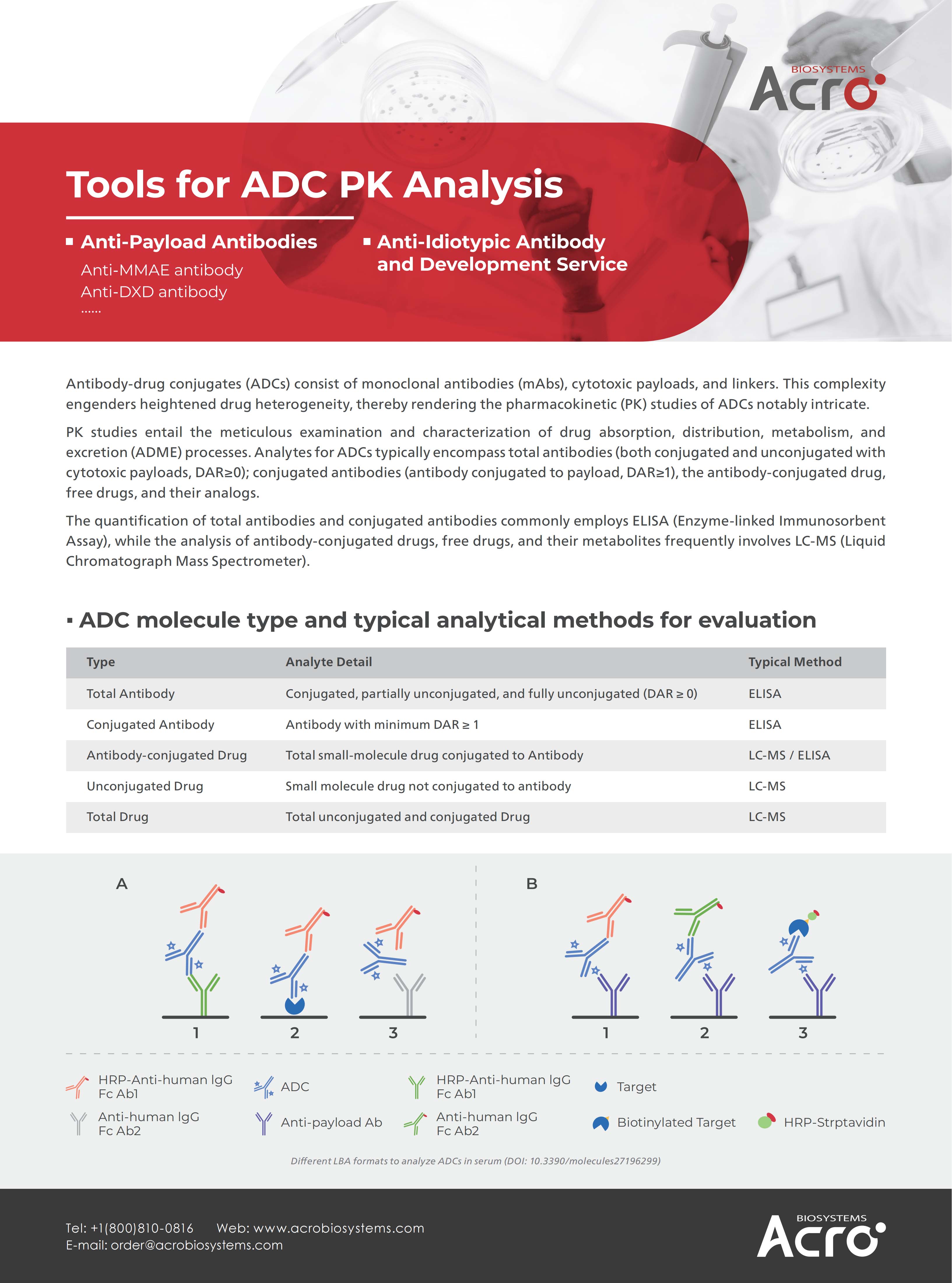 ADC Internalization Detection Reagent