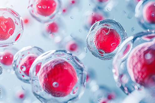 Stem Cell Research