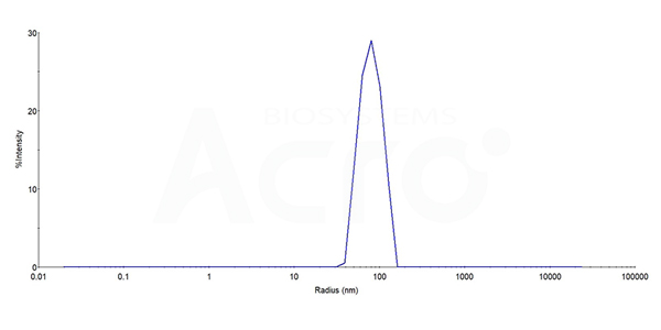 STEAP3 Protein: Homogeneity Confirmed by DLS