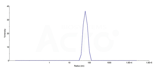 STEAP4 Protein: Homogeneity Confirmed by DLS