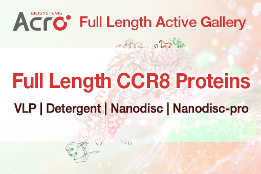 CCR8
