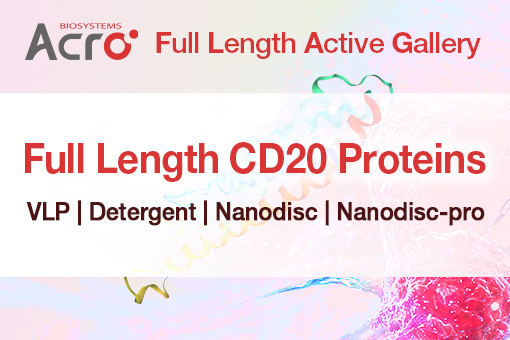 CD20