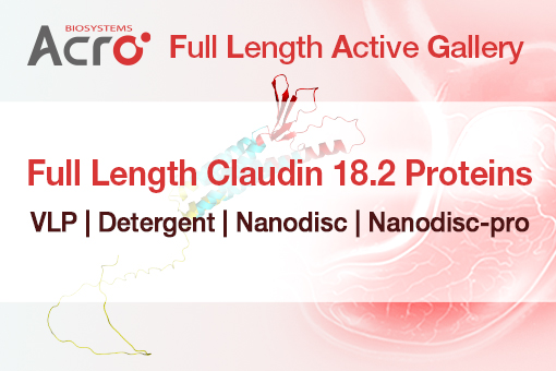 Claudin 18.2