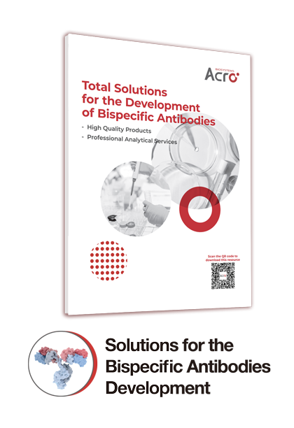 Total Solutions for The Development of Bispecific Antibody