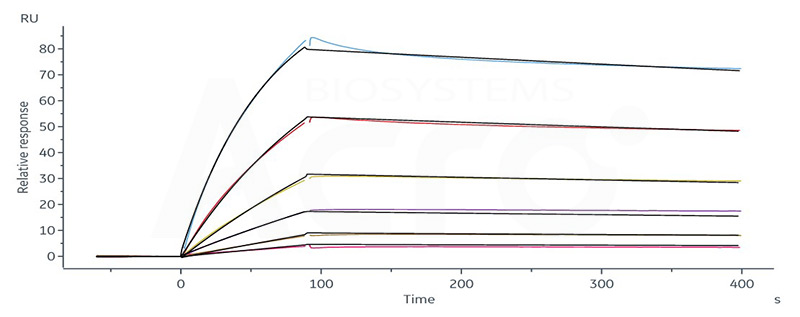 CD3 Domain Validation-3