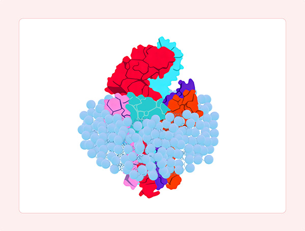 TCR-CD3 (Detergent)