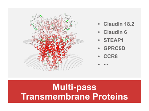 Multi-pass Transmembrane Proteins