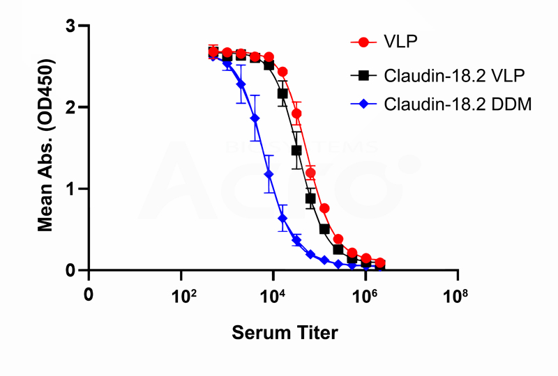 Claudin 18.2 VLP
