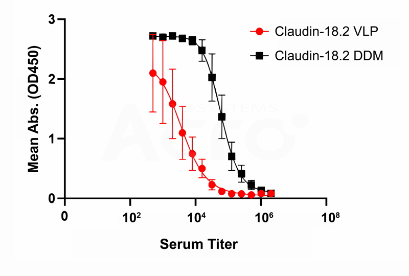 Claudin 18.2 DDM