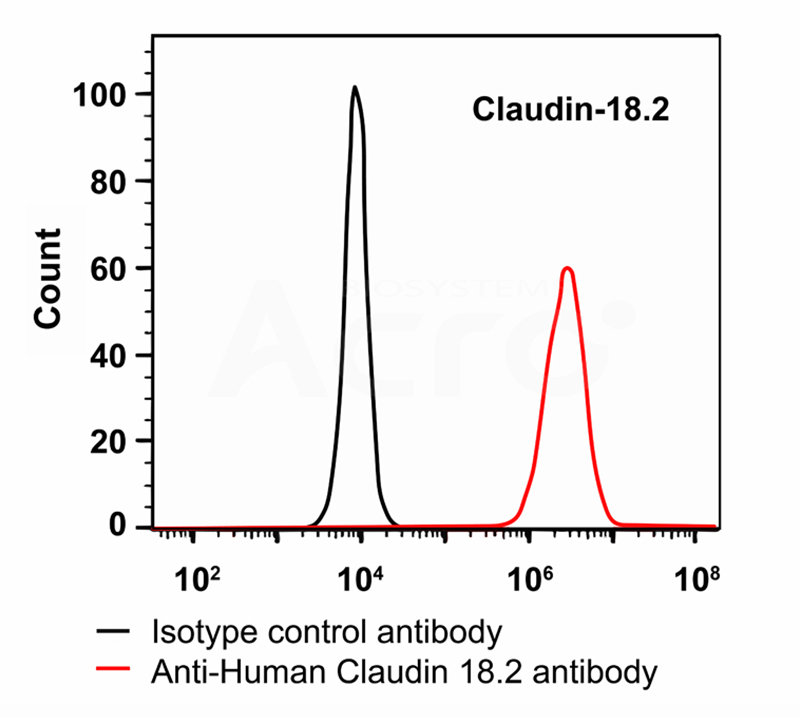 Specific binding to Claudin-18.2 cells