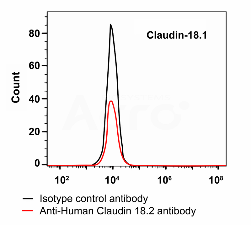 Cross-reactivity against Claudin-18.1