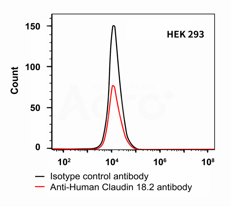 Binding on HEK293 cells