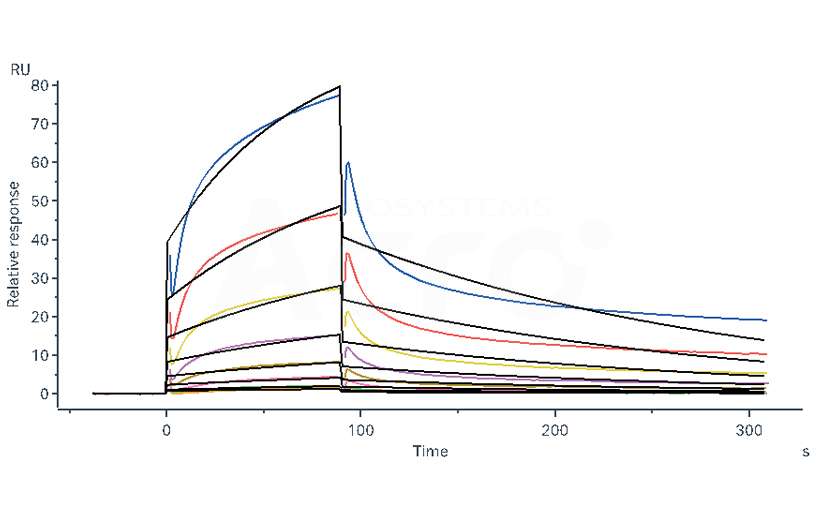 CD20 Nanodisc SPR