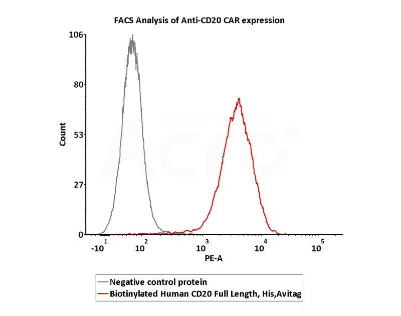 CD20 Nanodisc FACS