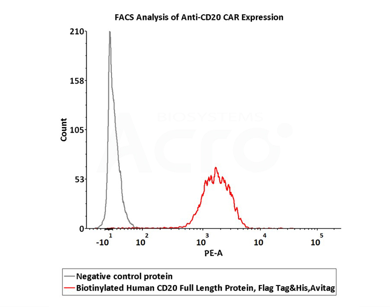 CD20 Nanodisc-pro FACS