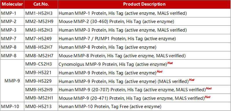 Explore our MMP protein family products