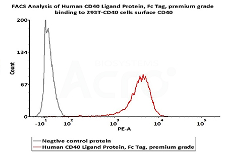 The binding activity of CD40 and CD40 Ligand was verified by FACS
