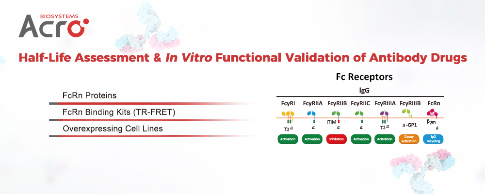 Application of Recombinant Factor C Technology in Pharmaceutical Manufacturing Processes