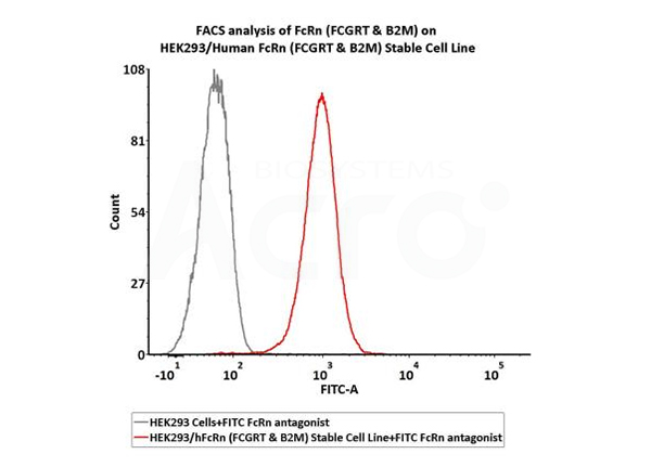 Receptor Assay