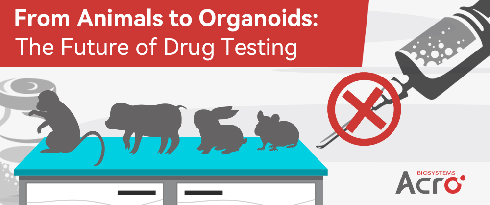 From Animals to Organoids: The Future of Drug Testing