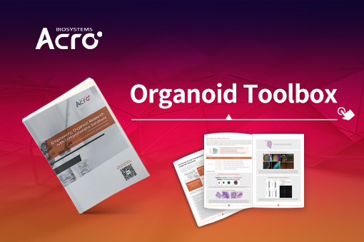 Read the Brochure