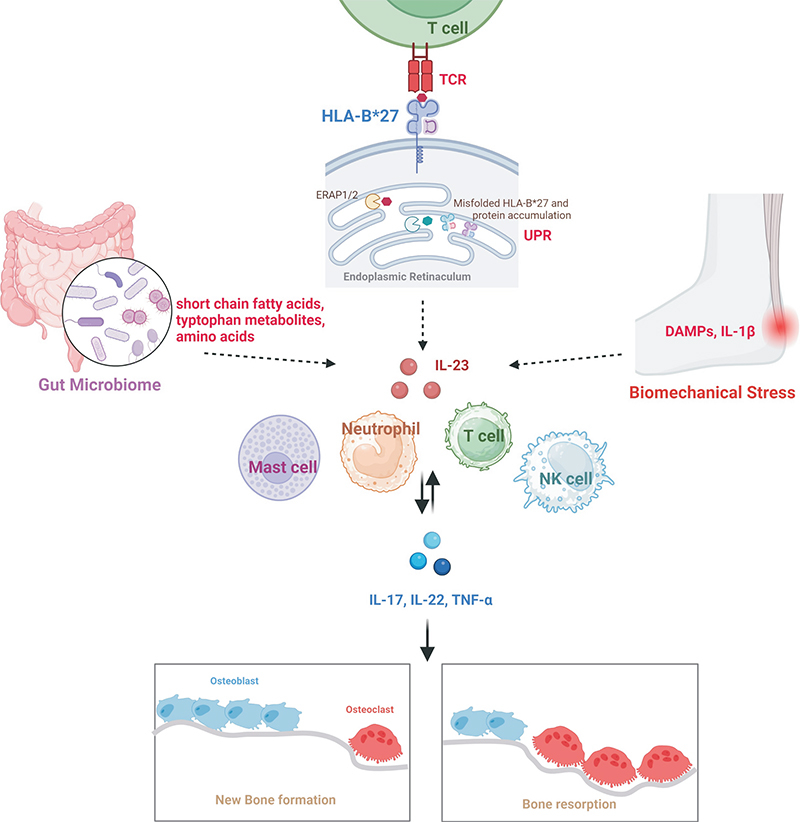 Four Transformative Waves Have Shaped Development of the Biopharmaceutical Industry