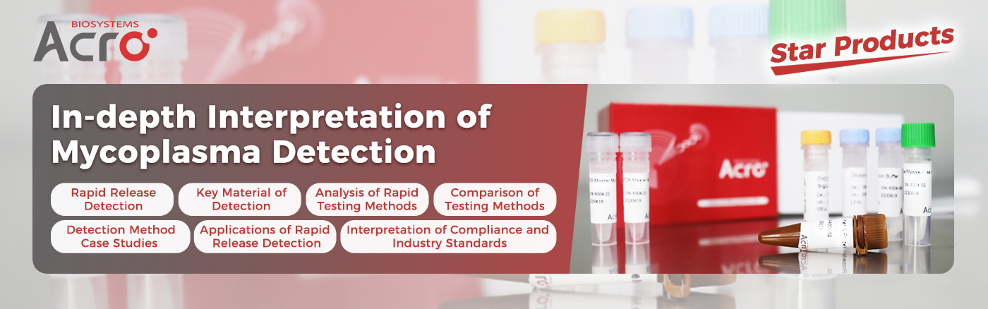 Key Points and Accurate Workflow for Rapid Release Testing