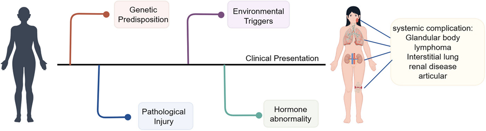 The pathophysiological mechanisms of SS
