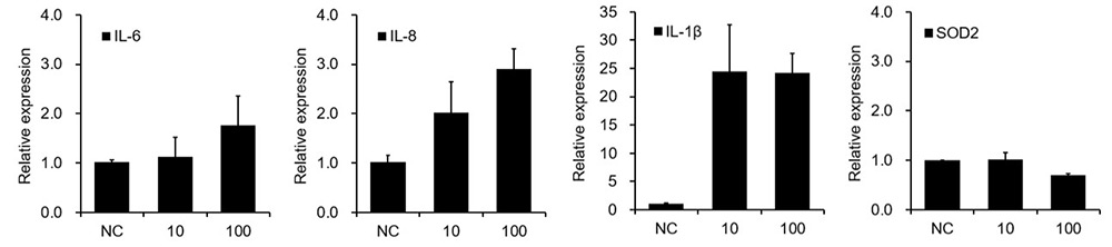 Figure 8. Tau PFF induces neuroinflammation and disrupts antioxidant balance.