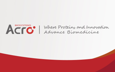 Targeting CD20 and CD3, the witness and creator in the process of antibody drug development