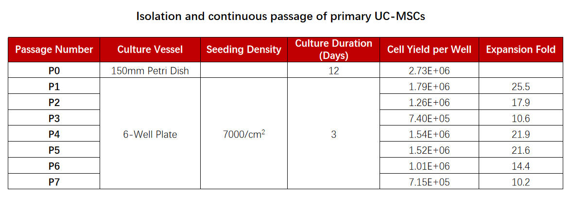 Media APPLICATION DATA