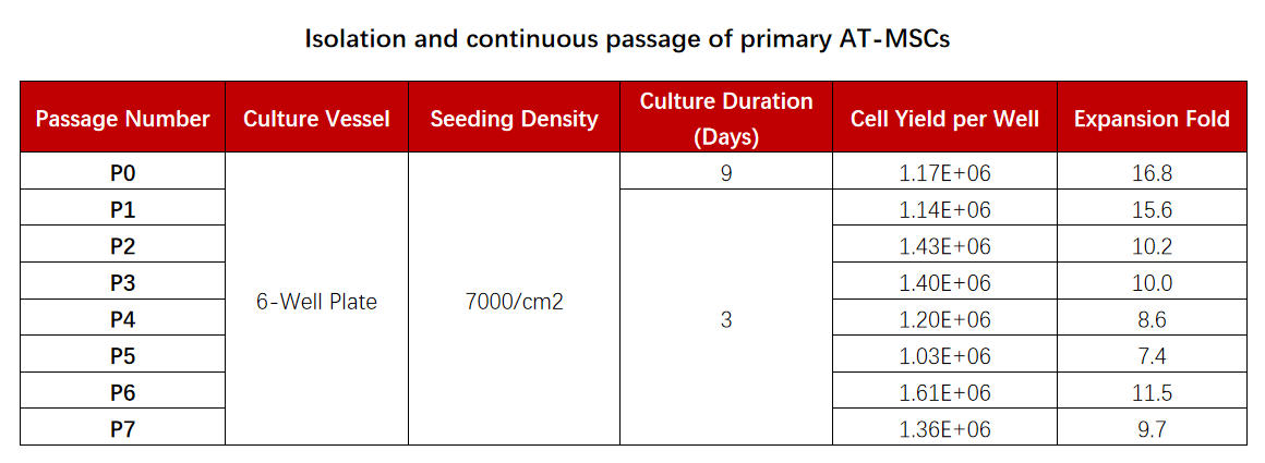 Media APPLICATION DATA