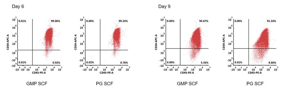 SCF APPLICATION DATA