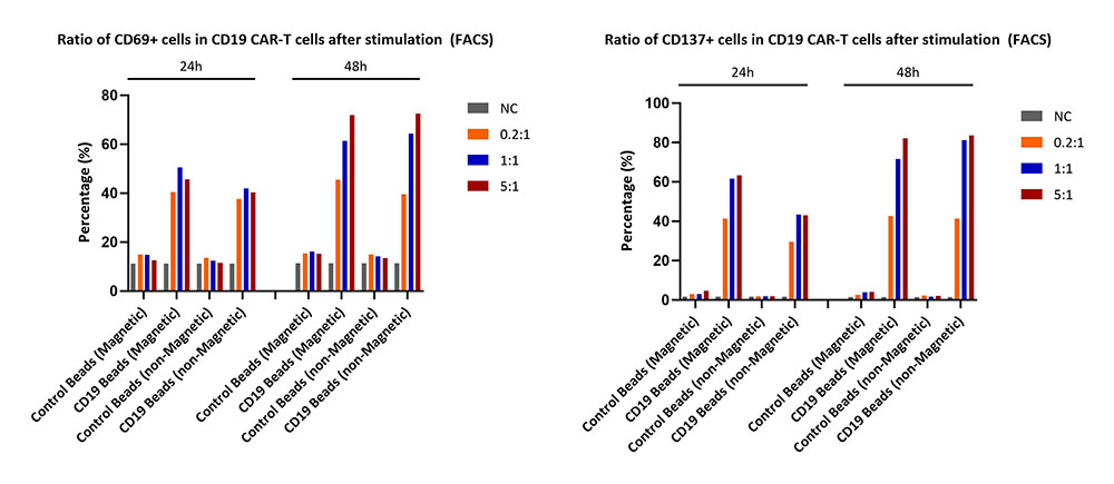 CD19 ACTIVATION MARKER